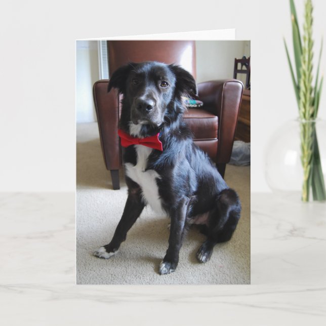 Tarjeta Lookin' Fab (Anverso)