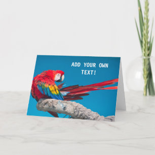 Tarjeta Loro