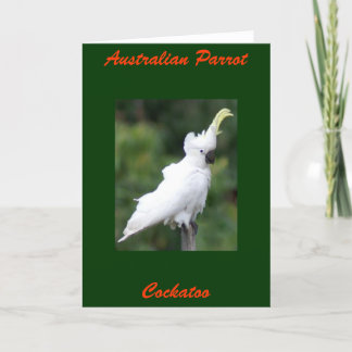 Tarjeta Loro australiano, Cockatoo