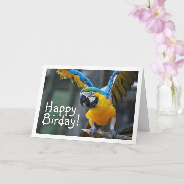 Tarjeta Loro azul y amarillo (Orquídea)