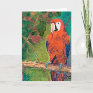 Tarjeta Loro con Seagrapes