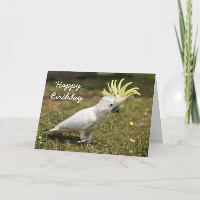 Tarjeta Loro de cockatoo con cresta del azufre de la (Anverso)