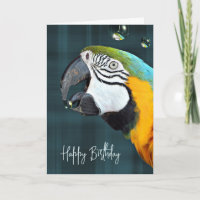 Loro de Macaw con burbujas Cumpleaños