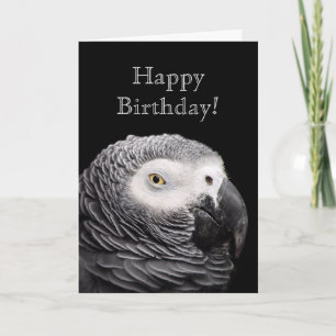 Tarjeta Loro gris africano