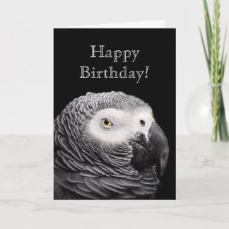 Tarjeta Loro gris africano
