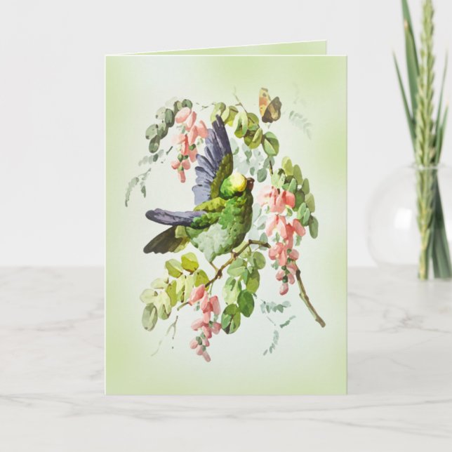 Tarjeta Loro verde y cosecha de flores de Acacia rosa (Anverso)