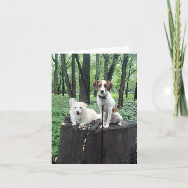 Tarjeta Los amigos cardan para siempre (Anverso)