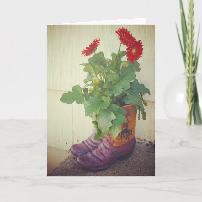 Tarjeta "Los botes de Cowboy de Gerbera Daisy", mejor cart (Anverso)