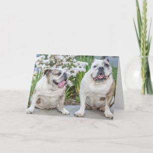 Tarjeta Los Bulldoges más felices cumpleaños personalizado