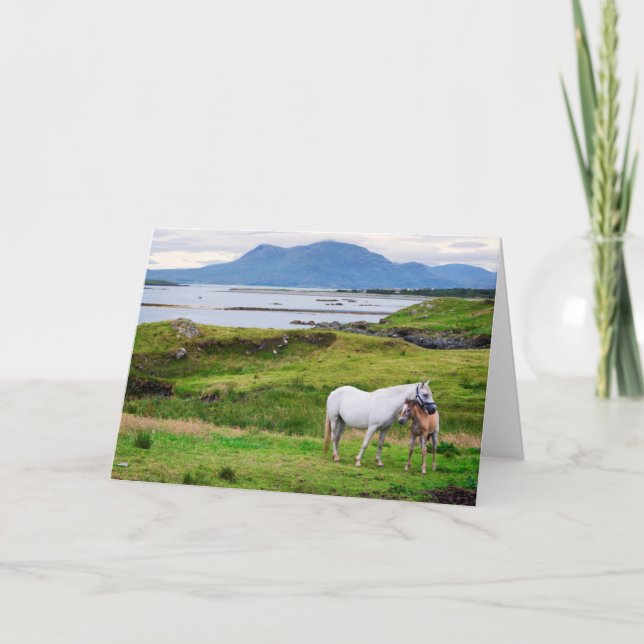 Tarjeta Los caballos de Connemara el | Galway, Irlanda (Anverso)