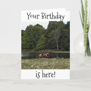 TARJETA LOS CABALLOS EN PASTA SON GRANDES PARA TU CUMPLEAÑ