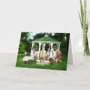 Tarjeta "Los Chicas Gazebo" Saludo