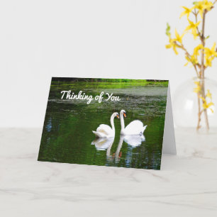 Tarjeta Los cisnes piensan en ti