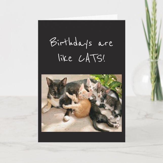 Tarjeta Los cumpleaños son como el humor animal de los gat (Anverso)