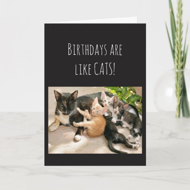Tarjeta Los cumpleaños son como el humor animal del gato (Anverso)