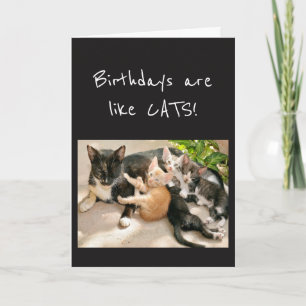 Tarjeta Los cumpleaños son como Humor de Gatos Animales