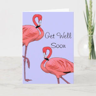 Tarjeta Los flamencos se recuperan pronto