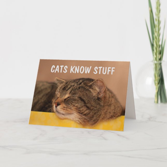 Tarjeta LOS GATOS CONOCEN LAS COSAS Sabiduría (Anverso)