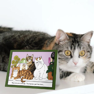 Tarjeta Los Gatos Están al Cargo