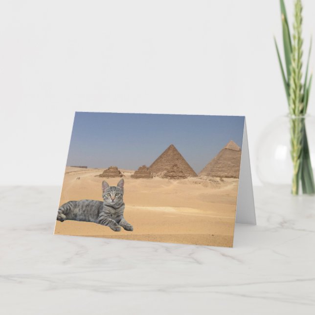 Tarjeta ¡Los gatos gobiernan! (Anverso)