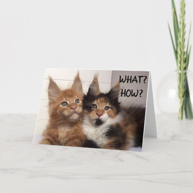 TARJETA ¡¡¡LOS GATOS MAINE COON DICEN **18*** ¡¡¡WOW!!!!!  (Anverso)