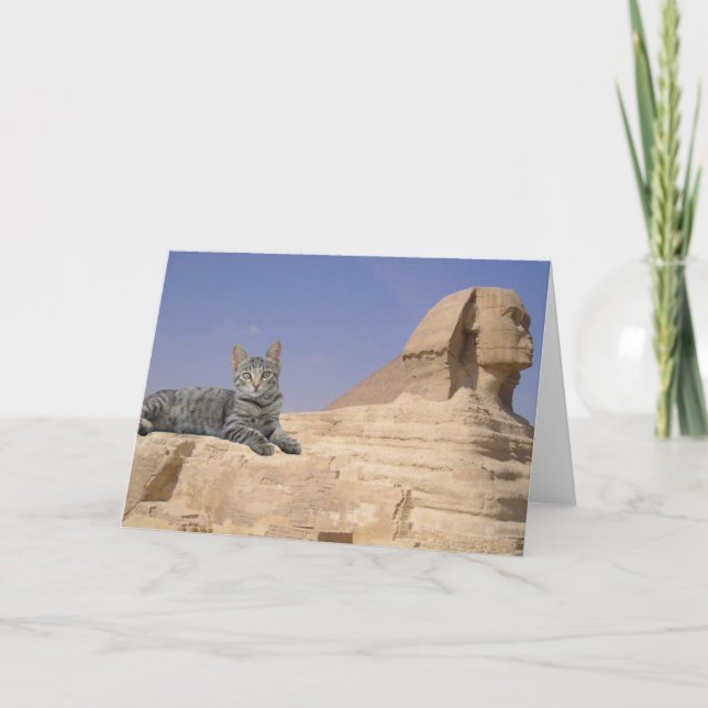 Tarjeta ¡Los gatos mandan! (Anverso)