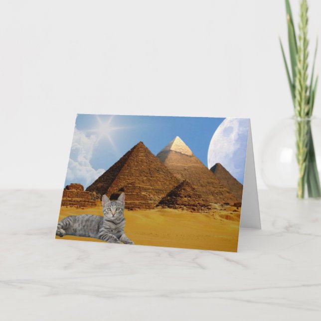 Tarjeta ¡Los gatos mandan! (Anverso)