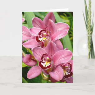 Tarjeta Los gemelos de la orquídea para arriba se cierran