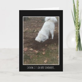 Tarjeta Los grandes Pirineos