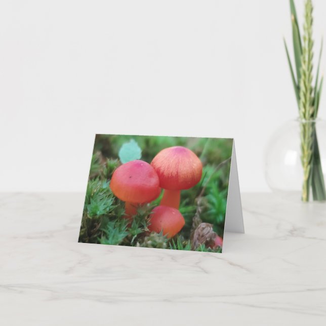 Tarjeta Los hongos brillan en rojo en el suelo forestal (Anverso)