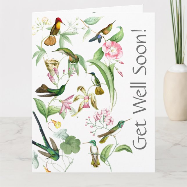 Tarjeta Los Hummingbirds se recuperan pronto de la gran ca (Anverso)