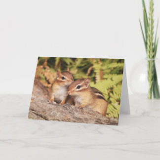 Tarjeta Los mejores amigos, bebés, Chipmunks