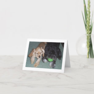 TARJETA LOS MEJORES AMIGOS DEL CUMPLEAÑOS DESEAN DE LOS PU