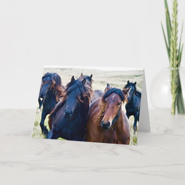 Tarjeta Los miedos curios cayeron pontones (Anverso)