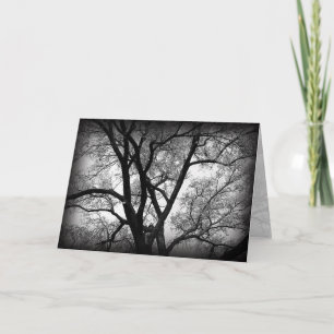 Tarjeta Los miembros de la naturaleza