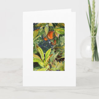 Tarjeta Los naranjas en el árbol dibujan a lápiz