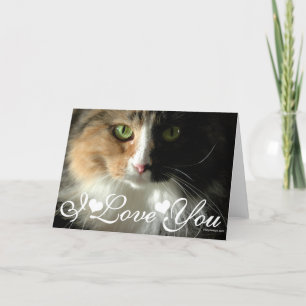 Tarjeta Los Ojos de Gato Foto Imagen Te Amo