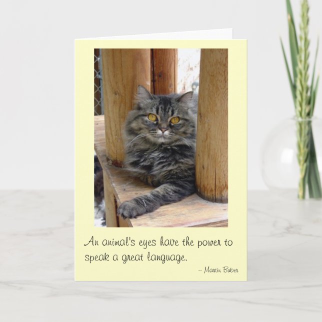 Tarjeta Los ojos de los gitanos (Anverso)