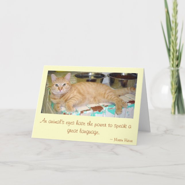 Tarjeta Los ojos de un animal (Anverso)