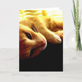 Tarjeta Los ojos del ángel