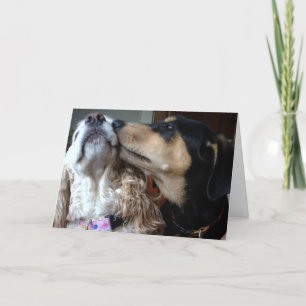 TARJETA LOS PERROS DICEN EL VERDADERO AMOR, TODO LO QUE NE