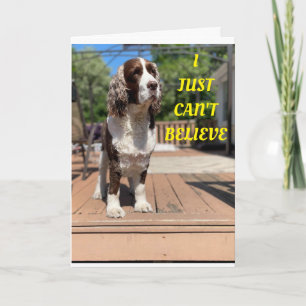 TARJETA ¡LOS PERROS DULCES DICEN QUE FELIZ CUMPLEAÑOS 50! 