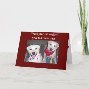 TARJETA LOS PERROS FOMENTAN RECUPERARSE
