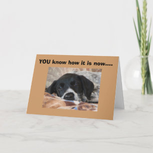 TARJETA LOS PNA SON UNA HORA IMPORTANTE DEL DÍA