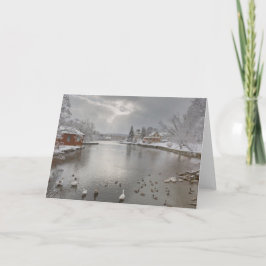 Tarjeta Los rayos de sol abrazan el estanque de pato