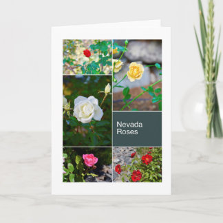 Tarjeta Los rosas de Nevada en Reno parquean el collage de