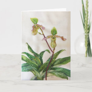 Tarjeta Los sobres blancos de las orquídeas (5" x 7")