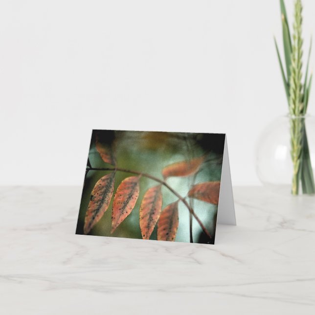 Tarjeta Loss (Anverso)