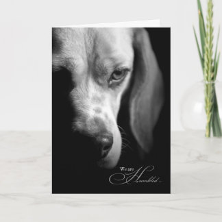 Tarjeta Loss of Dog Beagle on Black Pet Sympathy