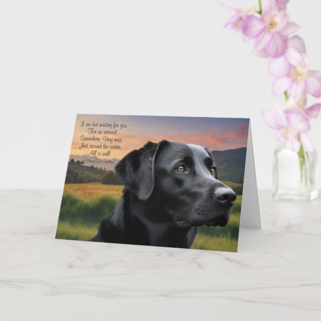 Tarjeta Loss of Pet Dog (Black Lab) Custom Sympathy Card (Orquídea)